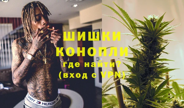 шишки Арсеньев
