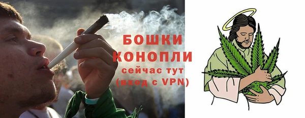 сатива Армянск