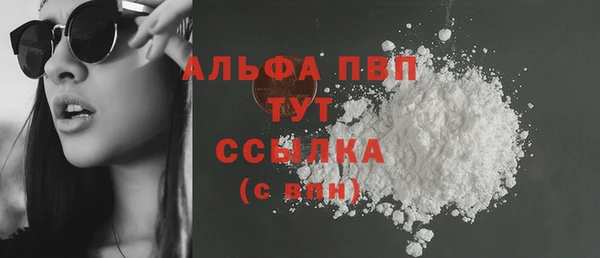 шишки Арсеньев