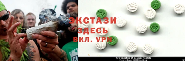шишки Арсеньев