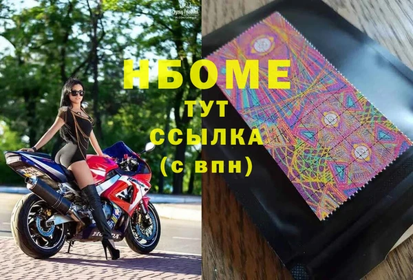 шишки Арсеньев