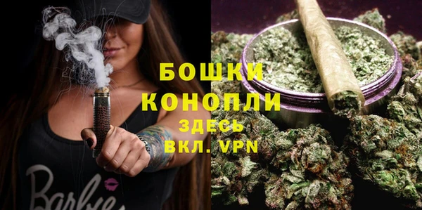 шишки Арсеньев
