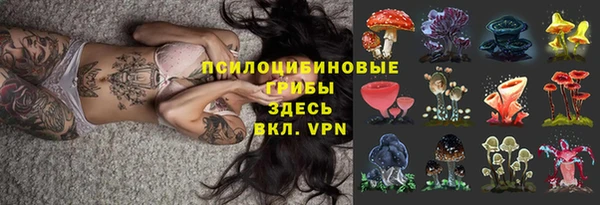шишки Арсеньев