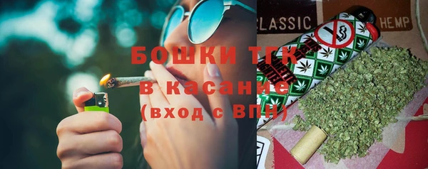 прущие крисы Аркадак