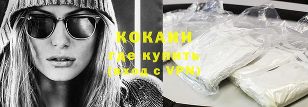 шишки Арсеньев