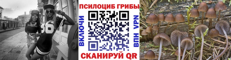 Псилоцибиновые грибы Psilocybine cubensis  hydra ССЫЛКА  Поворино 